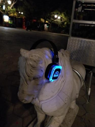 silent disco 19